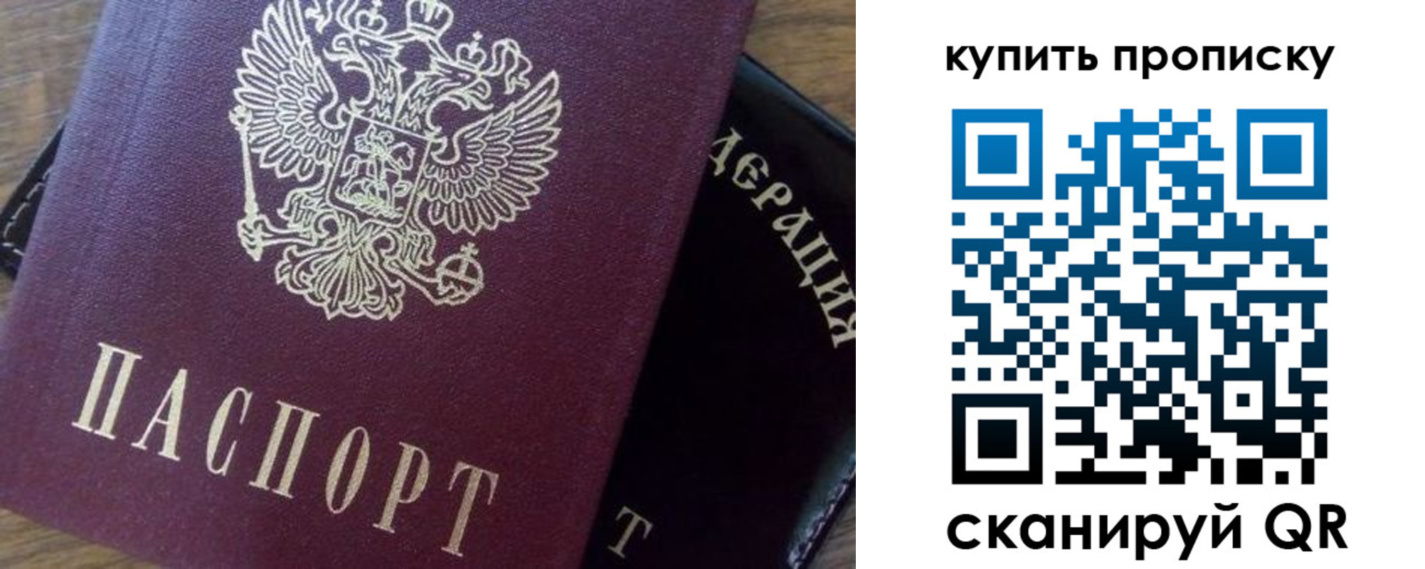 прописка паспорт в Светлогорске