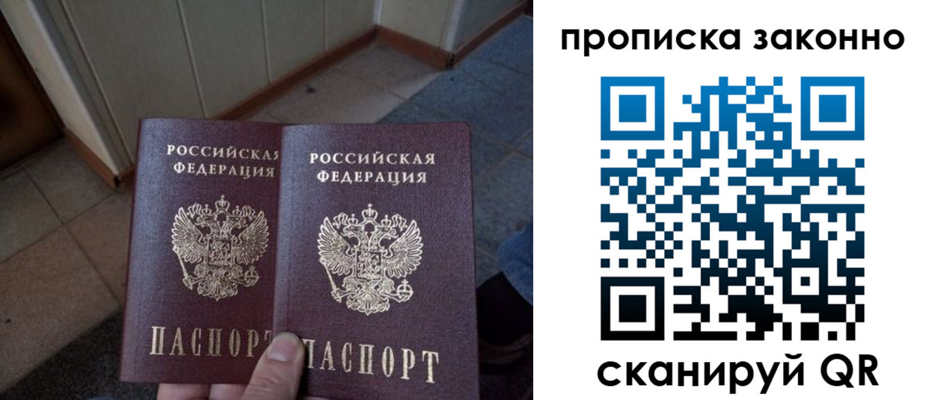 регистрация для школы в Светлогорске